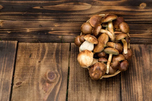 Orman hasırlı sepetten mantar topluyor. Üst görünüm fotokopi alanı. Masada taze çiğ mantar var. Tahta masadaki mantarlar..