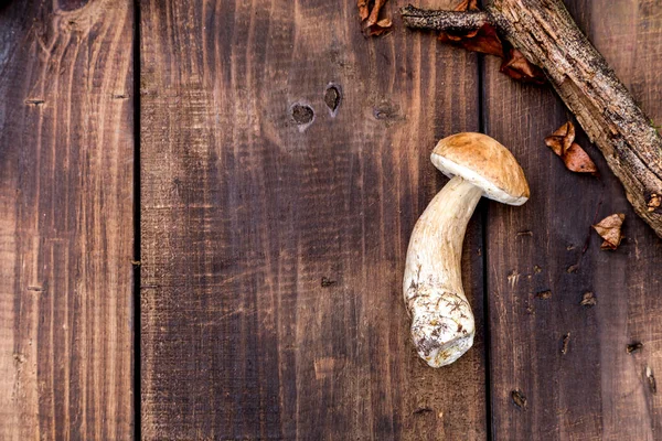 Orman mantar topluyor. Üst görünüm kopyalama alanı. Masada taze çiğ mantar var. Tahta masadaki mantarlar. Flatlay, sonbahar arkaplanı.