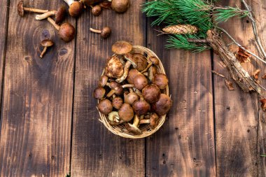 Orman hasırlı sepetten mantar topluyor. Üst görünüm fotokopi alanı. Masada taze çiğ mantar var. Tahta masadaki mantarlar..