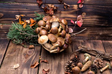 Orman hasırlı sepetten mantar topluyor. Üst görünüm fotokopi alanı. Masada taze çiğ mantar var. Tahta masadaki mantarlar..