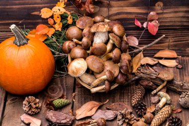 Orman hasırlı sepetten mantar topluyor. Üst görünüm fotokopi alanı. Taze çiğ mantar ve ahşap masada balkabağı. Sonbahar Cadılar Bayramı konsepti..