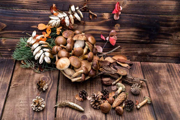 Foresta Raccolta Funghi Cesto Vimini Vista Dall Alto Copiare Spazio — Foto Stock