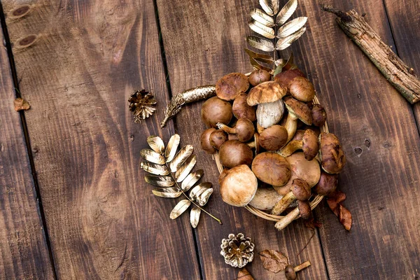 Foresta Raccolta Funghi Cesto Vimini Vista Dall Alto Copiare Spazio — Foto Stock