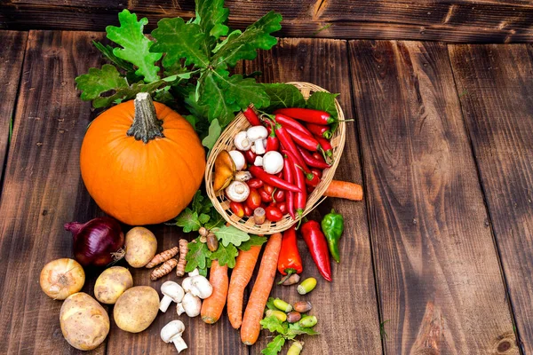 Comida Ecológica Cosecha Verduras Frescas Verduras Otoño Sobre Una Mesa — Foto de Stock