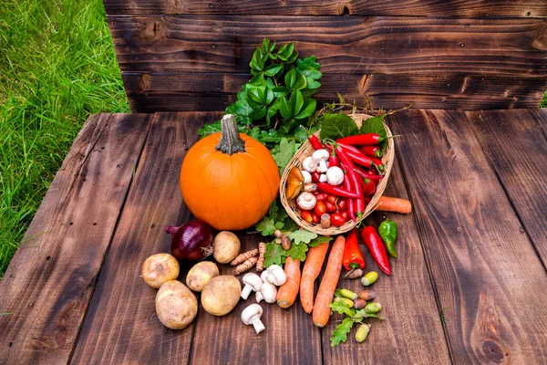 Bio Lebensmittel Ernte Von Frischem Gemüse Herbstgemüse Auf Einem Holztisch — Stockfoto