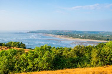 Goa kıyı şeridinin gündüz Hindistan 'daki doğal manzarası. 