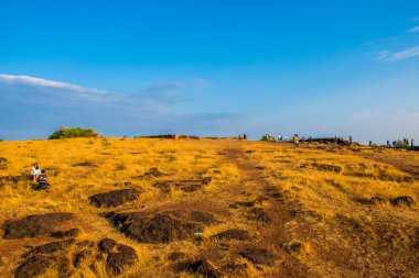 Goa kıyı şeridinin gündüz Hindistan 'daki doğal manzarası. 