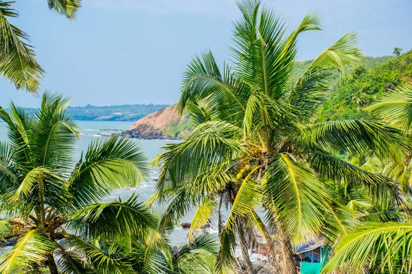 Goa kıyı şeridinin gündüz Hindistan 'daki doğal manzarası. 