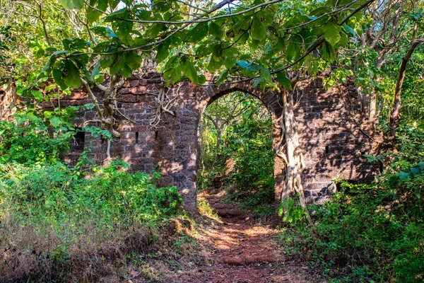 Sightseeing Goa Regionen Reser Med Indien Ruiner Antika Palats — Stockfoto