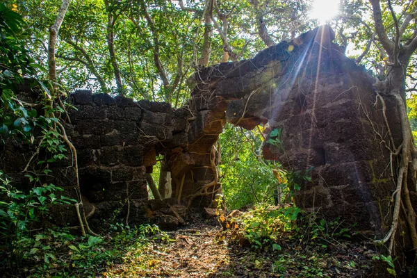 Visita Región Goa Viajando Por India Ruinas Del Antiguo Palacio —  Fotos de Stock