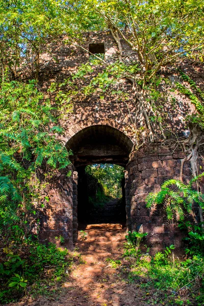 Goa bölgesini gezmek, Hindistan 'ı gezmek, antik sarayın kalıntıları.