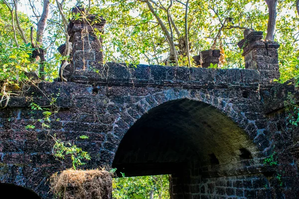 Prohlídka Goa Regionu Cestování Indii Zříceniny Starobylého Paláce — Stock fotografie