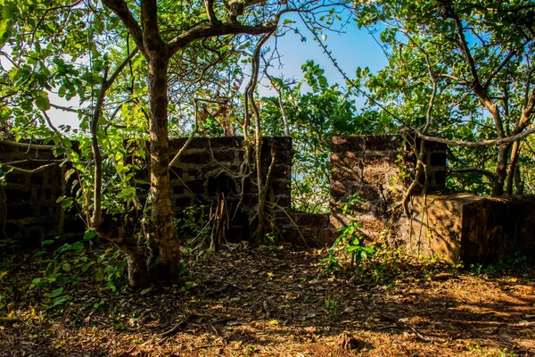 Sightseeing Goa Regionen Reser Med Indien Ruiner Antika Palats — Stockfoto