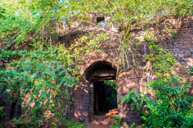 Goa bölgesini gezmek, Hindistan 'ı gezmek, antik sarayın kalıntıları.