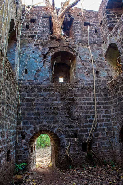 Prohlídka Goa Regionu Cestování Indii Zříceniny Starobylého Paláce — Stock fotografie