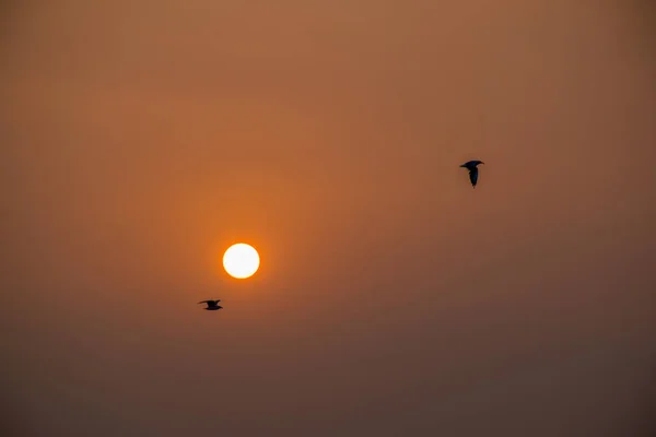 Vista Panorâmica Pôr Sol Colorido Sobre Mar Goa Índia — Fotografia de Stock