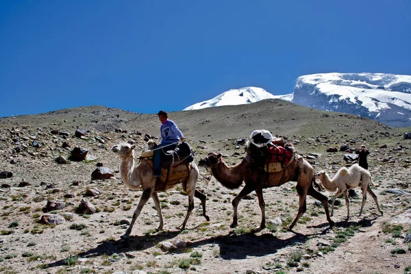 Voyager Par Muztag Ata Chine Pamir Asie Centrale — Photo