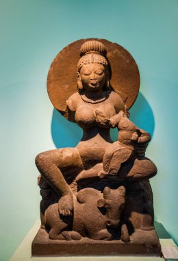 Asya 'dan, Yeni Delhi' den, Hindistan 'dan.