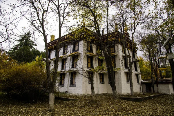 Staré Čínské Město Svaté Zemi Tibet Lhasa Palác Potala — Stock fotografie