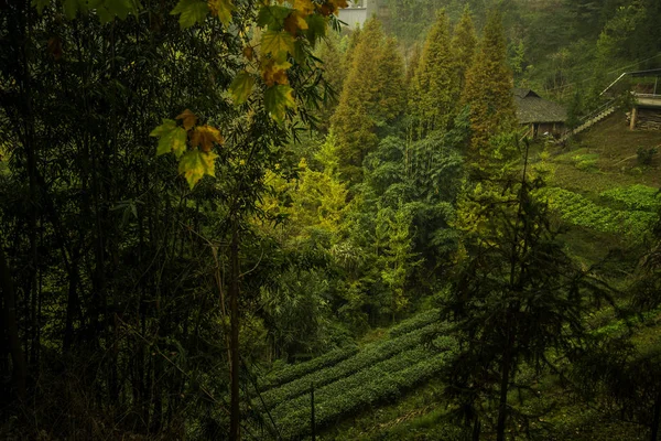 由中国 西藏圣地 拉萨到石迦寺的旅行 — 图库照片