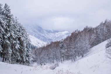 Askat köyü yakınlarındaki Altay Dağları'ndaki Suganda Kutsal Dağı. Sibirya'da Rus kışı