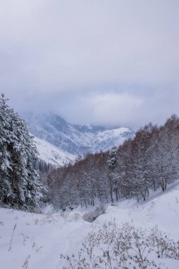 Askat köyü yakınlarındaki Altay Dağları'ndaki Suganda Kutsal Dağı. Sibirya'da Rus kışı