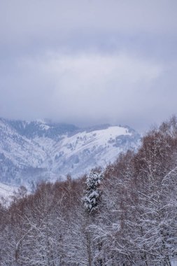 Askat köyü yakınlarındaki Altay Dağları'ndaki Suganda Kutsal Dağı. Sibirya'da Rus kışı