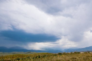 Kazakistan 'daki Tian-Shan dağlarının doğal manzarası.