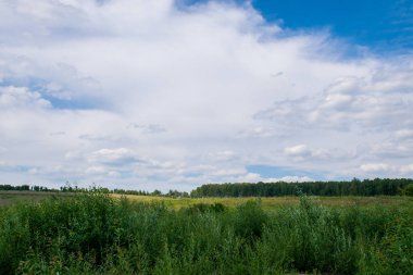 Kaluga bölgesinin güzel doğası, Rusya