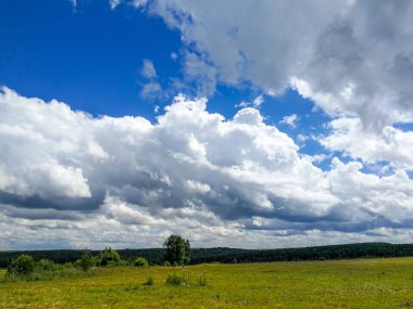 Kaluga bölgesinin güzel doğası, Rusya