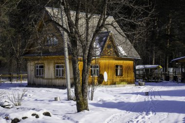 Altay Dağları'ndaki Kuum köyündeki donmuş ormandaki ahşap evler. Sibirya'da Rus kışı