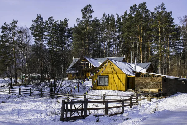 Die Hölzernen Häuser Gefrorenen Wald Kuum Dorf Altai Gebirge Russischer — Stockfoto