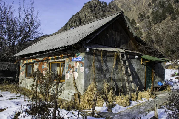 Las Casas Madera Bosque Congelado Kuum Pueblo Las Montañas Altai —  Fotos de Stock