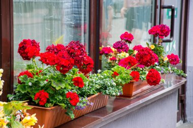 Grodno, Beyaz Rusya - Haziran 2018: Avrupa'nın en çok şehir olan Belarus'un merkezi sokakları ve tarihi evleri