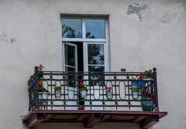 Grodno Beyaz Rusya Haziran 2018 Avrupa Nın Çok Şehir Olan — Stok fotoğraf