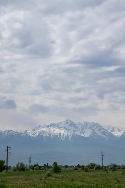 Näkymä Unikko Kukkia Almaty Kazakstan — kuvapankkivalokuva