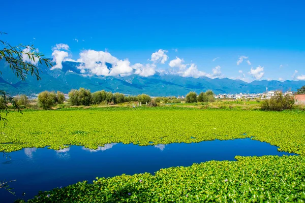 Dali şehrinin doğası, Yunnan, Çin