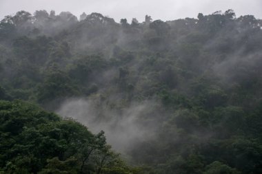 beautiful nature of Emei shan mountains, Sichuan, China