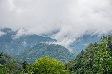 beautiful nature of Emei shan mountains, Sichuan, China