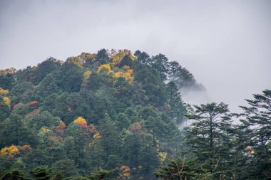 beautiful nature of Emei shan mountains, Sichuan, China