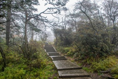 beautiful nature of Emei shan mountains, Sichuan, China