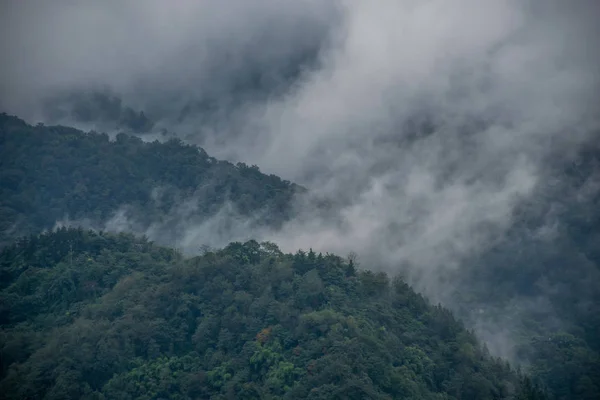 Belle Nature Des Montagnes Emei Shan Sichuan Chine — Photo