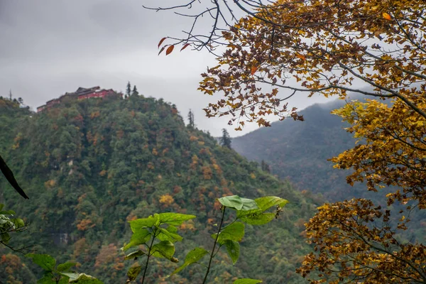 Bela Natureza Das Montanhas Emei Shan Sichuan China — Fotografia de Stock