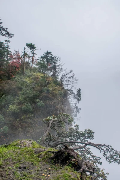 Bela Natureza Das Montanhas Emei Shan Sichuan China — Fotografia de Stock