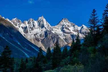 Doğu Tibet, Sichuan, Çin 'deki Kampo Nenang dağına gidiyor.
