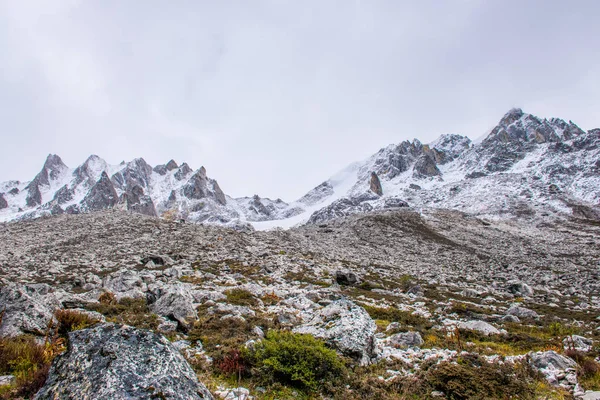 Traveling Kampo Nenang Mountain Eastern Tibet Sichuan China — ストック写真