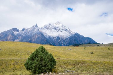 Doğu Tibet, Sichuan, Çin 'deki Kampo Nenang dağına gidiyor.