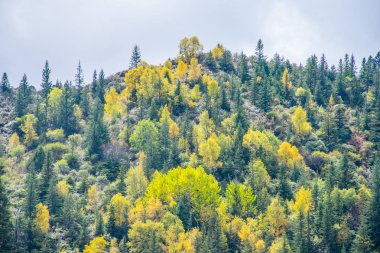 Doğu Tibet 'teki Kampo Nenang Dağı, Sichuan, Çin