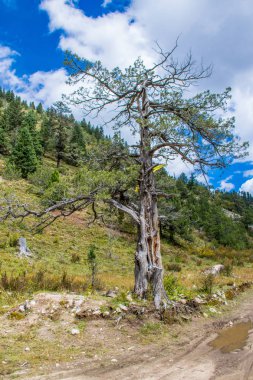 Doğu Tibet 'teki Kampo Nenang Dağı, Sichuan, Çin