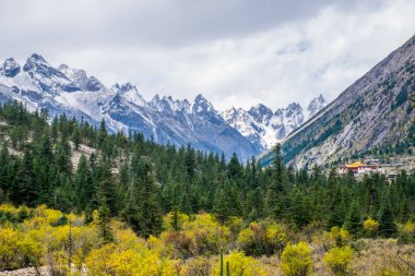 Doğu Tibet, Sichuan, Çin 'deki Kampo Nenang dağına gidiyor.